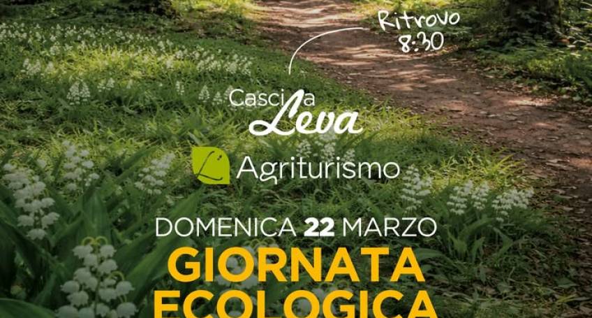 Articolo del 18 Mar 2026