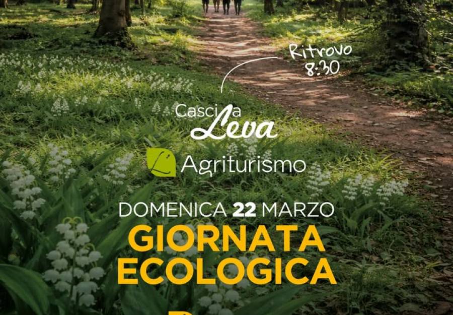 Articolo del 18 Mar 2026